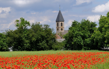 Bruchsaler Ringroute | © Land der 1000 Hügel - Kraichgau-Stromberg