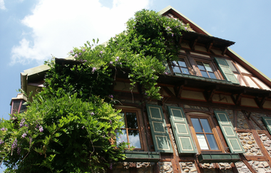 Bruchsaler Ringroute | © Land der 1000 Hügel - Kraichgau-Stromberg