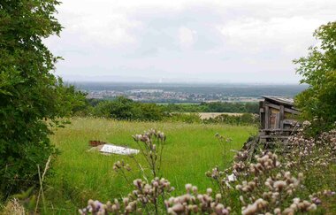 Brunnenweg IVV Kraichtal-Unteröwisheim - Besenhex | © Stadtmarketing Kraichtal