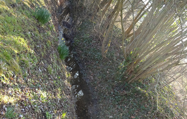 BS1 - Heilquellenerlebnisweg | © Land der 1000 Hügel - Kraichgau-Stromberg