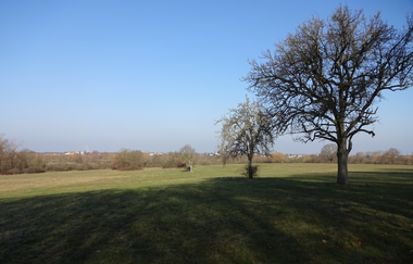 BS1 - Heilquellenerlebnisweg | © Land der 1000 Hügel - Kraichgau-Stromberg