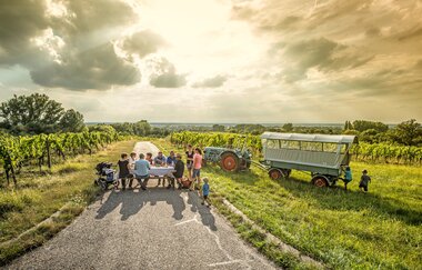 BS2 - Wein-Panoramaweg | © Land der 1000 Hügel - Kraichgau-Stromberg