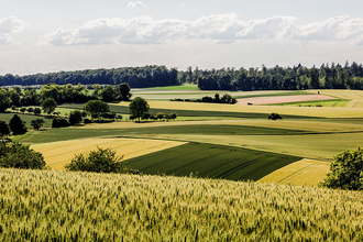 BT1 - Großer Brettener Südweg | © Thomas Rebel für Stadt Bretten