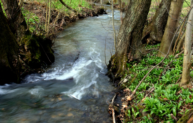 BT1 - Großer Brettener Südweg | © Bildband Bretten