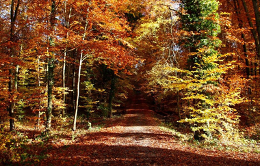 BT1 - Großer Brettener Südweg | © Tourist-Info Bretten