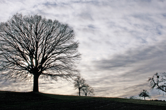 BT2 - Kleiner Brettener Südweg | © Bildband Bretten