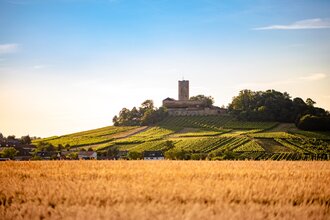 Burg Steinsberg Tour | © Stadt Sinsheim