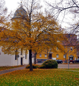 Durch den Alten Keller von Sternenfels nach Diefenbach | © Land der 1000 Hügel - Kraichgau-Stromberg