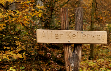 Durch den Alten Keller von Sternenfels nach Diefenbach | © Land der 1000 Hügel - Kraichgau-Stromberg