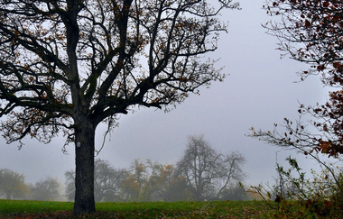 Durch den Alten Keller von Sternenfels nach Diefenbach | © Land der 1000 Hügel - Kraichgau-Stromberg