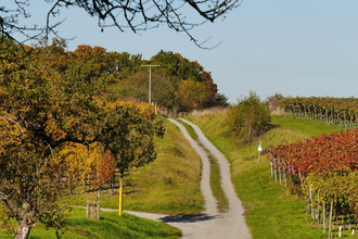 Durchs Blumenwiesental | © Land der 1000 Hügel - Kraichgau-Stromberg
