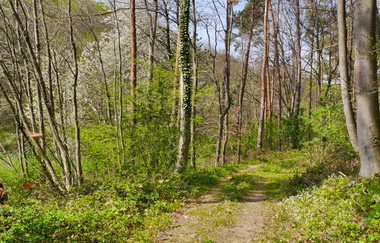 Durchs Blumenwiesental | © Land der 1000 Hügel - Kraichgau-Stromberg