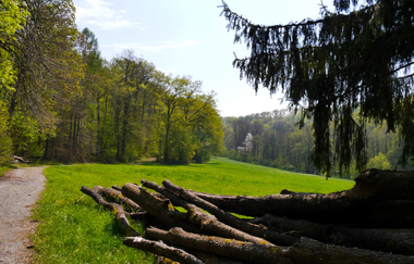 Durchs Blumenwiesental | © Land der 1000 Hügel - Kraichgau-Stromberg
