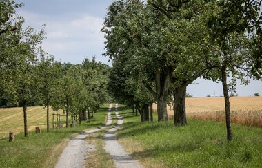 EP1 - Rund um den Ottilienberg | © Land der 1000 Hügel - Kraichgau-Stromberg