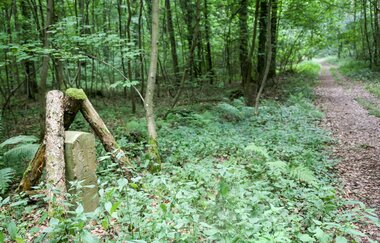EP1 - Rund um den Ottilienberg | © Land der 1000 Hügel - Kraichgau-Stromberg