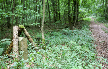 EP1 - Rund um den Ottilienberg | © Land der 1000 Hügel - Kraichgau-Stromberg