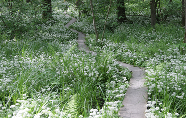 EP1 - Rund um den Ottilienberg | © Land der 1000 Hügel - Kraichgau-Stromberg