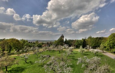 EP2 - Rund um den Ottilienberg mittlere Runde | © Große Kreisstadt Eppingen