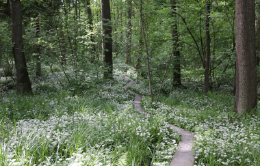 EP2 - Rund um den Ottilienberg mittlere Runde | © Land der 1000 Hügel - Kraichgau-Stromberg