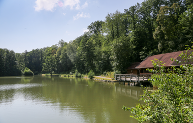EP2 - Rund um den Ottilienberg mittlere Runde | © Land der 1000 Hügel - Kraichgau-Stromberg