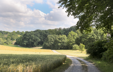 EP2 - Rund um den Ottilienberg mittlere Runde | © Land der 1000 Hügel - Kraichgau-Stromberg