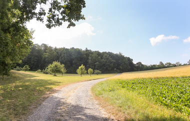 EP4 - Stadtbahnwandern Eppingen-Sulzfeld | © Land der 1000 Hügel - Kraichgau-Stromberg