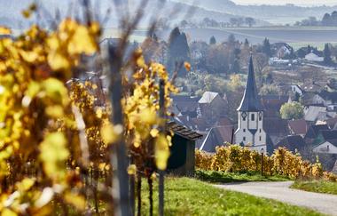 Bilck auf den Weinsüden Weinort Kürnbach | © Kraichgau-Stromberg Tourismus e.V.