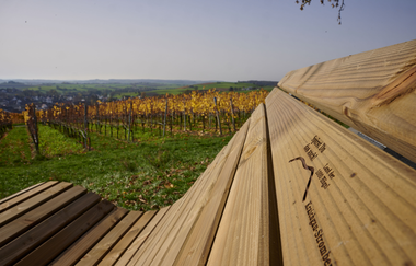 Entspannen am Eppinger-Linien-Weg | © Kraichgau-Stromberg Tourismus e.V.