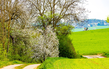 Erlebnistour 10: Grenzerfahrungen | © Liebliches Taubertal