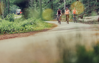 Erlebnistour 5: nach Würzburg und durchs Welzbachtal | © Liebliches Taubertal
