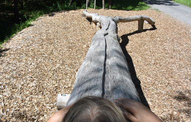 Erlebnisweg Hilsbacher Eichelberg | © Stadt Sinsheim