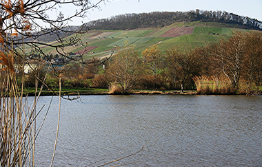 Eselsburg-Rundweg | © Land der 1000 Hügel - Kraichgau-Stromberg