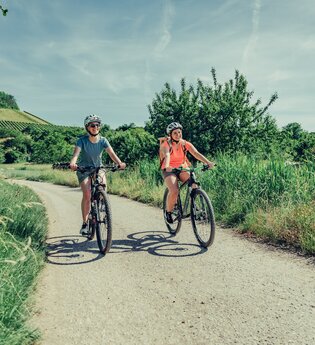 Radfahrer am Württemberger Weinradweg im Leintal | © Touristikgemeinschaft HeilbronnerLand e.V.