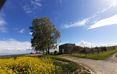 Eulenhorst-Tour Rohrbach a.G. | © Land der 1000 Hügel - Kraichgau-Stromberg