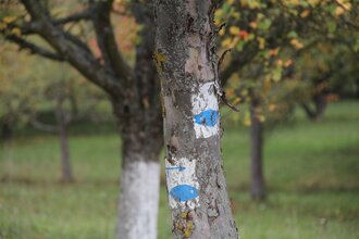 Fischwanderweg Kraichgau Kraichtal (Kurz- und Langroute) | © Stadtmarketing Kraichtal