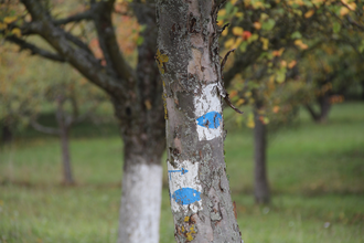 Fischwanderweg Kraichgau Kraichtal (Kurz- und Langroute) | © Stadtmarketing Kraichtal
