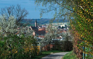 Fischwanderweg Kraichgau Kraichtal (Kurz- und Langroute) | © Stadtverwaltung Kraichtal
