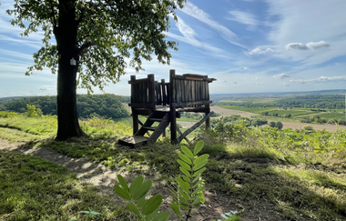 Flora - Fauna & Panorama | © Stadt Brakenheim | Celina Ponto