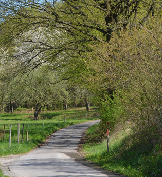 Freudenberg:   „An Ziegelberg und Sinselein“, rot, WF 2 | © Liebliches Taubertal