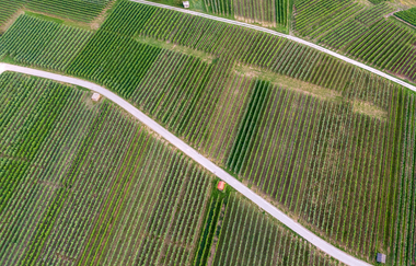 Gemmrigheimer Rundwanderweg | © Gemeinde Gemmrigheim