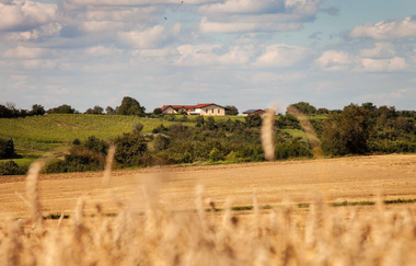 Geopfad  Brunnenweg | © WEINGUT LUDWIG HONOLD