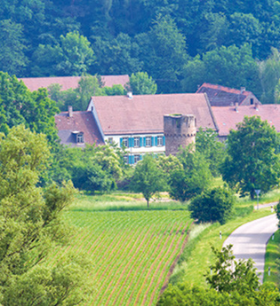 Geopfad Hügelweg | © Jens Neckermann