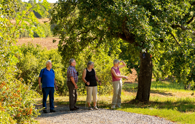 Gesamtstrecke Panoramaweg | © Liebliches Taubertal