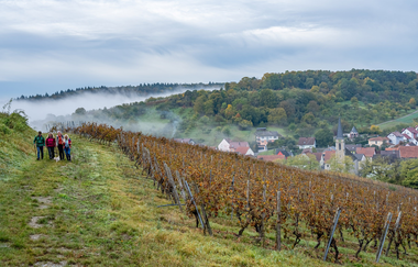 Gesamtstrecke Panoramaweg | © Liebliches Taubertal
