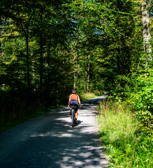 Fahrradweg durch den Wald | © GravelDeluxe