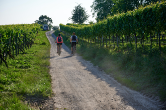 Fahrradweg durch die Weiberge | © Kraichgau-Stromberg Tourismus e.V.