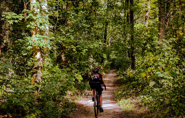Fahrradweg durch den Wald | © GravelDeluxe
