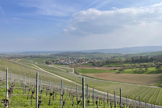 Haberschlachter Rundwanderwege - Dachsbergweg | © Stadt Brackenheim | Celina Ponto