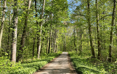 Haberschlachter Rundwanderwege - Forstbachseeweg | © Stadt Brackenheim | Celina Ponto