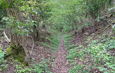 Haberschlachter Rundwanderwege - Heuchelbergweg | © Stadt Brackenheim